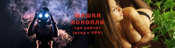 PSILOCYBIN Алексин