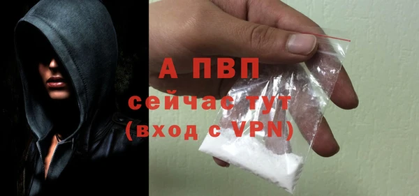 МДПВ Снежинск