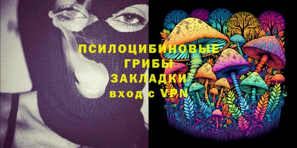 PSILOCYBIN Алексин