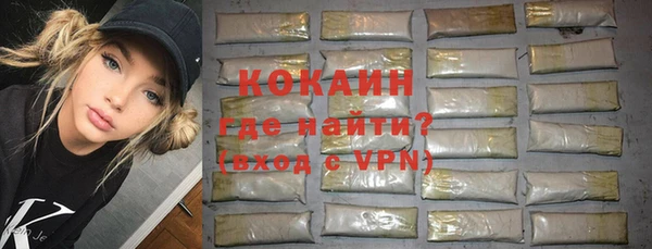 МДПВ Снежинск
