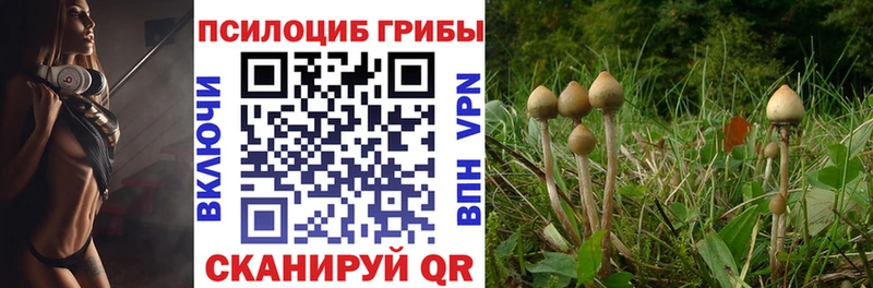 Псилоцибиновые грибы MAGIC MUSHROOMS  ссылка на мегу ссылка  Дзержинский 