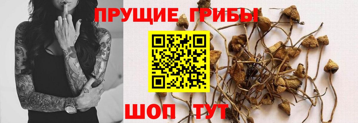 Галлюциногенные грибы Magic Shrooms Дзержинский